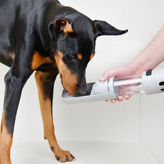 DANGBLER SLIDE: Bespoke 4 in 1 Travel Bottle for Dogs (MADE IN KOREA)
