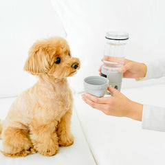 DANGLER All-in-One Bespoke Water Bottle for Dogs (2 in 1) MADE IN KOREA