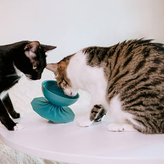 Spinner Bowl – Platinum Silicone Cat and Small Dog Feeder with Ergonomic Design (MADE IN KOREA)